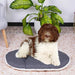 Dog Bed Ferplast - Домашни Животни<<<Дом Градина<<<BigBuy&&&Къщички и легълца<<<Домашни Животни<<<Дом Градина<<<BigBuy