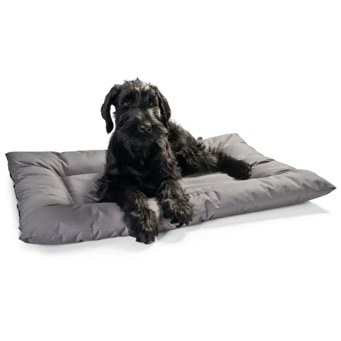 Dog Bed Hunter Grey 80 x 60 cm - Домашни Животни<<<Дом Градина<<<BigBuy&&&Къщички и легълца<<<Домашни Животни<<<Дом