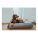 Dog Bed Hunter Lancaster Grey 120x90 cm - Домашни Животни<<<Дом Градина<<<BigBuy&&&Къщички и легълца<<<Домашни