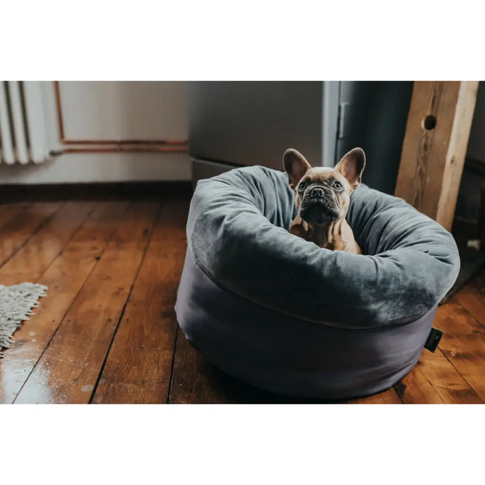 Dog Bed Hunter Miranda Grey 50 x 50 cm - Домашни Животни<<<Дом Градина<<<BigBuy&&&Къщички и легълца<<<Домашни