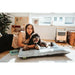 Dog Bed Hunter Rockford Grey 80x60 cm - Домашни Животни<<<Дом Градина<<<BigBuy&&&Къщички и легълца<<<Домашни