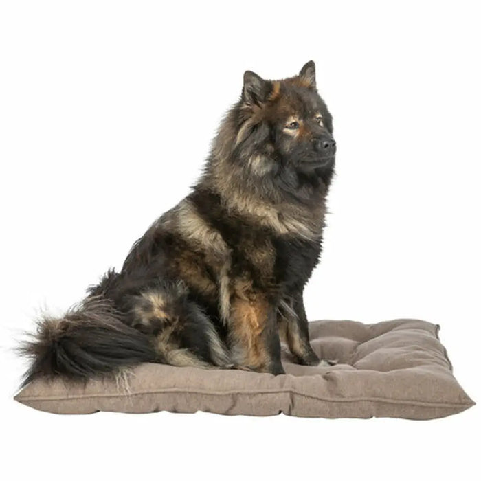 Dog Bed Trixie Brown - Домашни Животни<<<Дом Градина<<<BigBuy&&&Къщички и легълца<<<Домашни Животни<<<Дом
