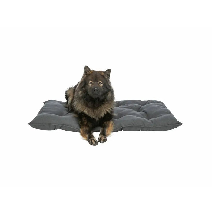Dog Bed Trixie Dark grey 78 x 60 cm - Домашни Животни<<<Дом Градина<<<BigBuy&&&Къщички и легълца<<<Домашни
