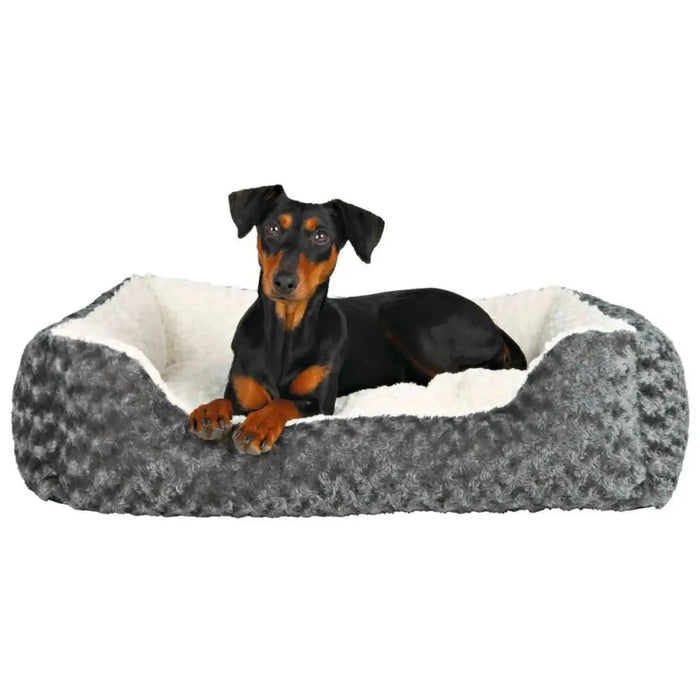 Dog Bed Trixie Leni Grey Cream 50 × 40 cm - Домашни Животни<<<Дом Градина<<<BigBuy&&&Къщички и легълца<<<Домашни