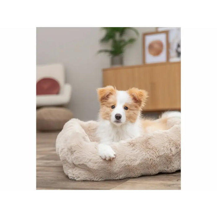 Dog Bed Trixie Sand 100 × 70 CM - Домашни Животни<<<Дом Градина<<<BigBuy&&&Къщички и легълца<<<Домашни Животни<<<Дом