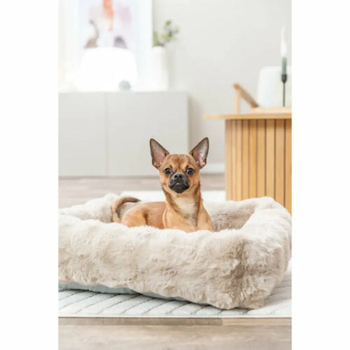 Dog Bed Trixie Sand 80 × 60 cm - Домашни Животни<<<Дом Градина<<<BigBuy&&&Къщички и легълца<<<Домашни Животни<<<Дом