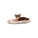 Dog Bed Trixie Taupe - Домашни Животни<<<Дом Градина<<<BigBuy&&&Къщички и легълца<<<Домашни Животни<<<Дом