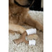 Dog chewing toy Nylabone Brown Peanut butter L - Домашни Животни<<<Дом Градина<<<BigBuy&&&Играчки<<<Домашни
