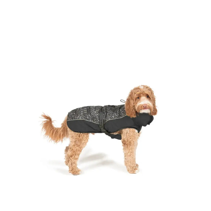 Dog Coat Dog Gone Smart Black 60 cm - Домашни Животни<<<Дом Градина<<<BigBuy&&&Пътуване и разходки<<<Домашни