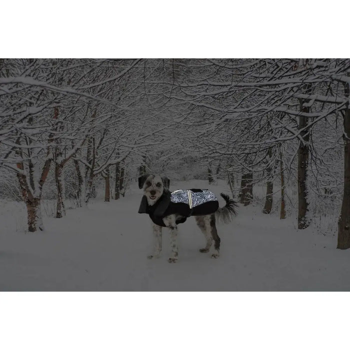 Dog Coat Dog Gone Smart Black 60 cm - Домашни Животни<<<Дом Градина<<<BigBuy&&&Пътуване и разходки<<<Домашни