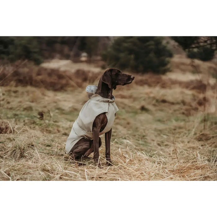 Dog Coat Hunter Milford Beige 30 cm - Домашни Животни<<<Дом Градина<<<BigBuy&&&Пътуване и разходки<<<Домашни