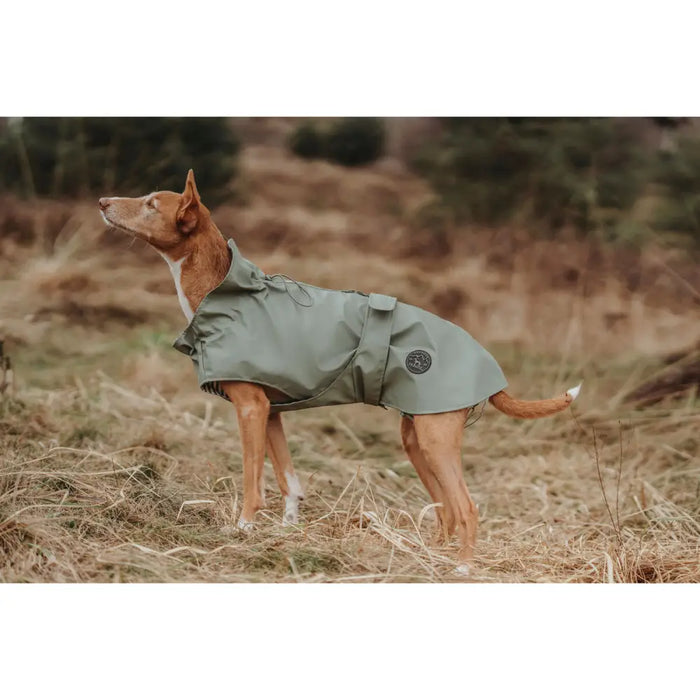 Dog Coat Hunter Milford Green 25 cm - Домашни Животни<<<Дом Градина<<<BigBuy&&&Пътуване и разходки<<<Домашни