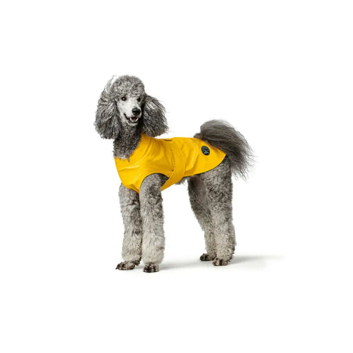 Dog Coat Hunter Milford Yellow 30 cm - Домашни Животни<<<Дом Градина<<<BigBuy&&&Пътуване и разходки<<<Домашни