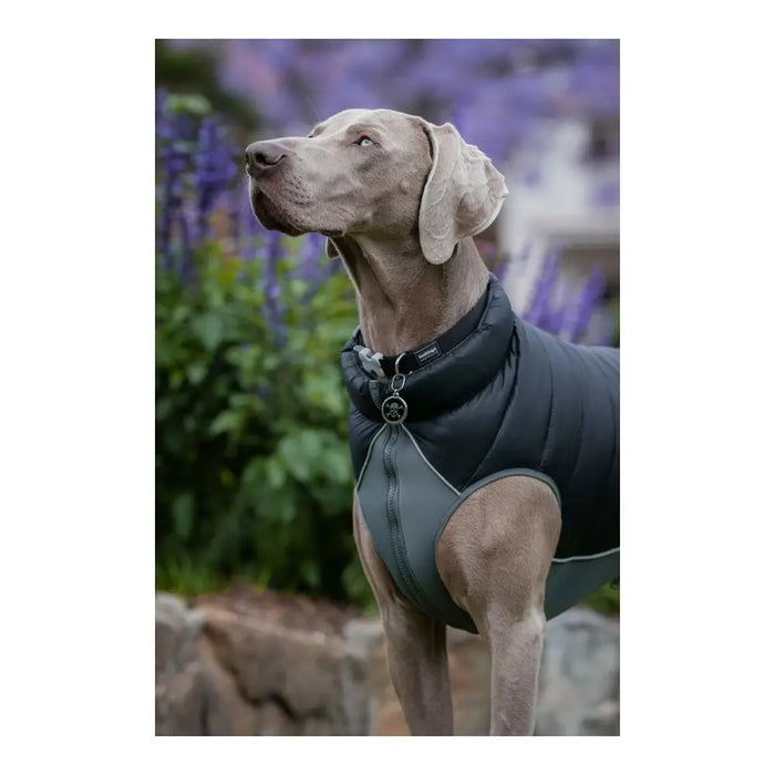 Dog Coat Red Dingo Puffer 45 cm Black/Grey - Домашни Животни<<<Дом Градина<<<BigBuy&&&Пътуване и разходки<<<Домашни