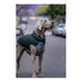 Dog Coat Red Dingo Puffer 45 cm Black/Grey - Домашни Животни<<<Дом Градина<<<BigBuy&&&Пътуване и разходки<<<Домашни