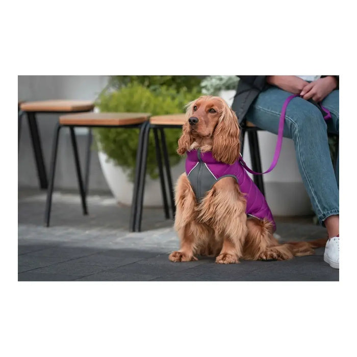 Dog Coat Red Dingo Puffer Pink/Purple 40 cm - Домашни Животни<<<Дом Градина<<<BigBuy&&&Пътуване и разходки<<<Домашни