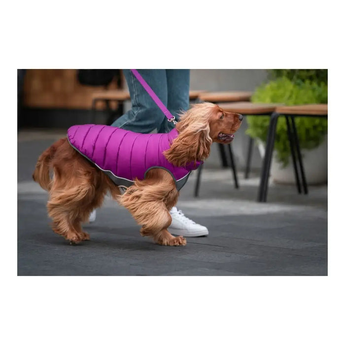 Dog Coat Red Dingo Puffer Pink/Purple 40 cm - Домашни Животни<<<Дом Градина<<<BigBuy&&&Пътуване и разходки<<<Домашни