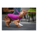 Dog Coat Red Dingo Puffer Pink/Purple 40 cm - Домашни Животни<<<Дом Градина<<<BigBuy&&&Пътуване и разходки<<<Домашни