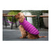 Dog Coat Red Dingo Puffer Pink/Purple 40 cm - Домашни Животни<<<Дом Градина<<<BigBuy&&&Пътуване и разходки<<<Домашни
