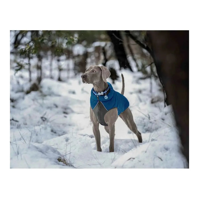 Dog Coat Red Dingo Puffer Turquoise 25 cm - Домашни Животни<<<Дом Градина<<<BigBuy&&&Пътуване и разходки<<<Домашни