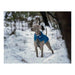 Dog Coat Red Dingo Puffer Turquoise 50 cm - Домашни Животни<<<Дом Градина<<<BigBuy&&&Пътуване и разходки<<<Домашни