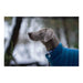 Dog Coat Red Dingo Puffer Turquoise 50 cm - Домашни Животни<<<Дом Градина<<<BigBuy&&&Пътуване и разходки<<<Домашни