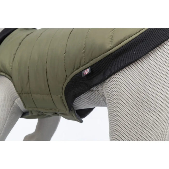 Dog Coat Trixie Arlay Dark green S - Домашни Животни<<<Дом Градина<<<BigBuy&&&Пътуване и разходки<<<Домашни