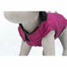 Dog Coat Trixie Arlay Purple S - Домашни Животни<<<Дом Градина<<<BigBuy&&&Пътуване и разходки<<<Домашни Животни<<<Дом