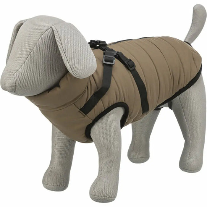 Dog Coat Trixie - Домашни Животни<<<Дом Градина<<<BigBuy&&&Пътуване и разходки<<<Домашни Животни<<<Дом Градина<<<BigBuy