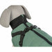 Dog Coat Trixie Green M - Домашни Животни<<<Дом Градина<<<BigBuy&&&Пътуване и разходки<<<Домашни Животни<<<Дом