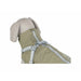 Dog Coat Trixie Green Olive S - Домашни Животни<<<Дом Градина<<<BigBuy&&&Пътуване и разходки<<<Домашни Животни<<<Дом