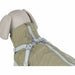 Dog Coat Trixie Green Olive S - Домашни Животни<<<Дом Градина<<<BigBuy&&&Пътуване и разходки<<<Домашни Животни<<<Дом