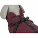 Dog Coat Trixie Pirou Maroon M - Домашни Животни<<<Дом Градина<<<BigBuy&&&Пътуване и разходки<<<Домашни Животни<<<Дом