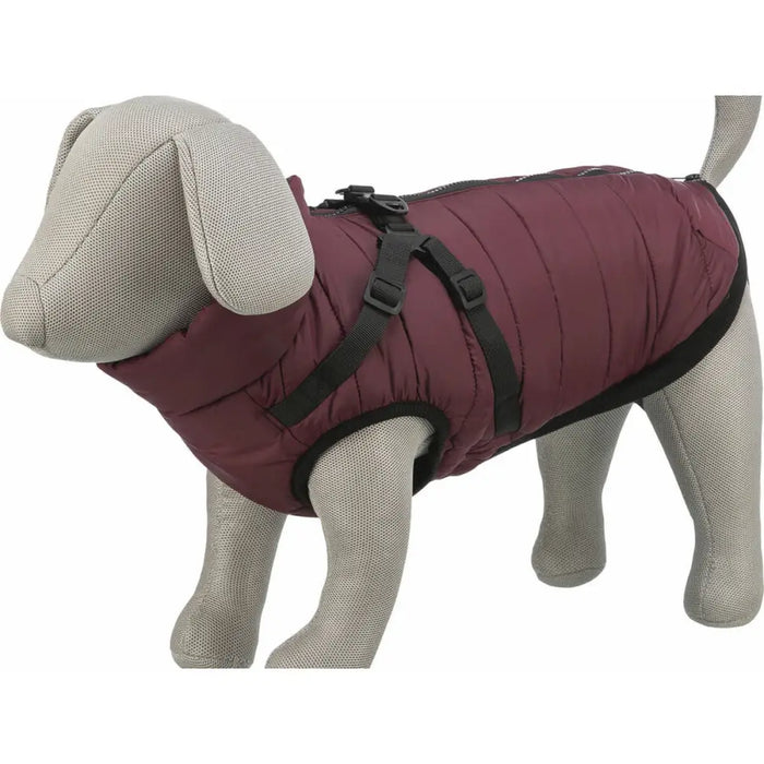 Dog Coat Trixie Pirou Maroon M - Домашни Животни<<<Дом Градина<<<BigBuy&&&Пътуване и разходки<<<Домашни Животни<<<Дом