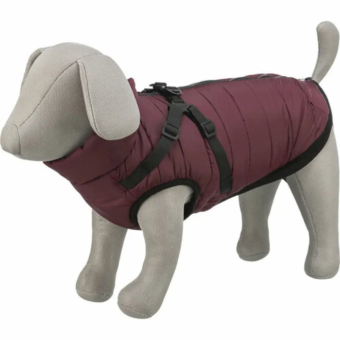 Dog Coat Trixie Pirou Maroon XS - Домашни Животни<<<Дом Градина<<<BigBuy&&&Пътуване и разходки<<<Домашни Животни<<<Дом