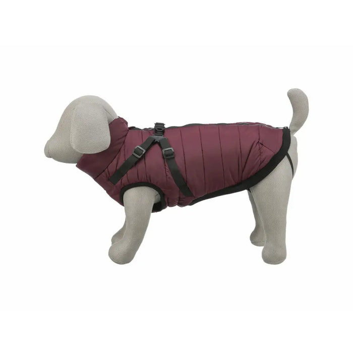 Dog Coat Trixie Pirou Maroon XXS - Домашни Животни<<<Дом Градина<<<BigBuy&&&Пътуване и разходки<<<Домашни Животни<<<Дом
