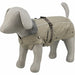 Dog Coat Trixie Sand S - Домашни Животни<<<Дом Градина<<<BigBuy&&&Пътуване и разходки<<<Домашни Животни<<<Дом