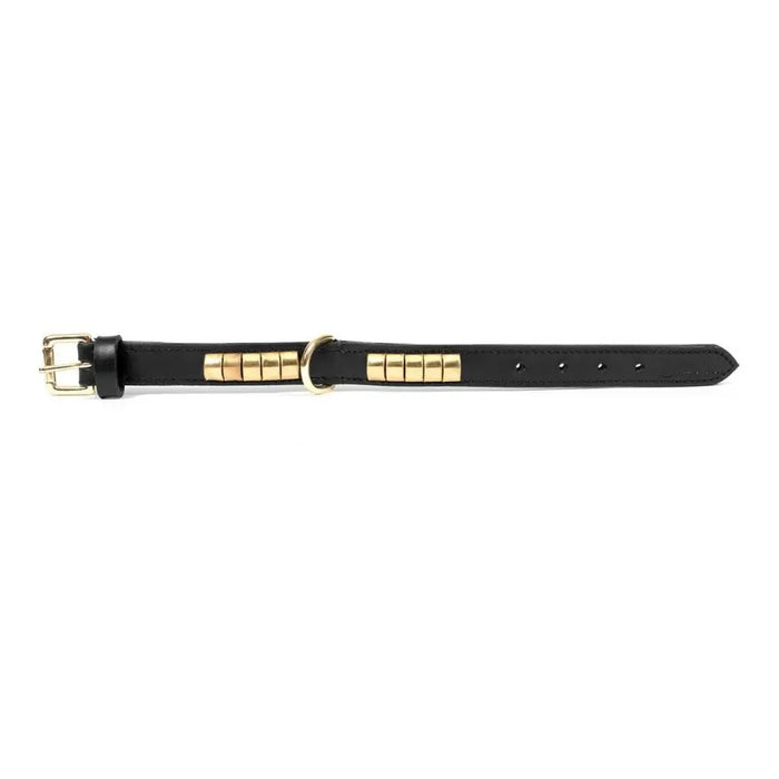 Dog collar Gloria Duna Black Golden (55 x 2.5 cm) - Домашни Животни<<<Дом Градина<<<BigBuy&&&Пътуване и