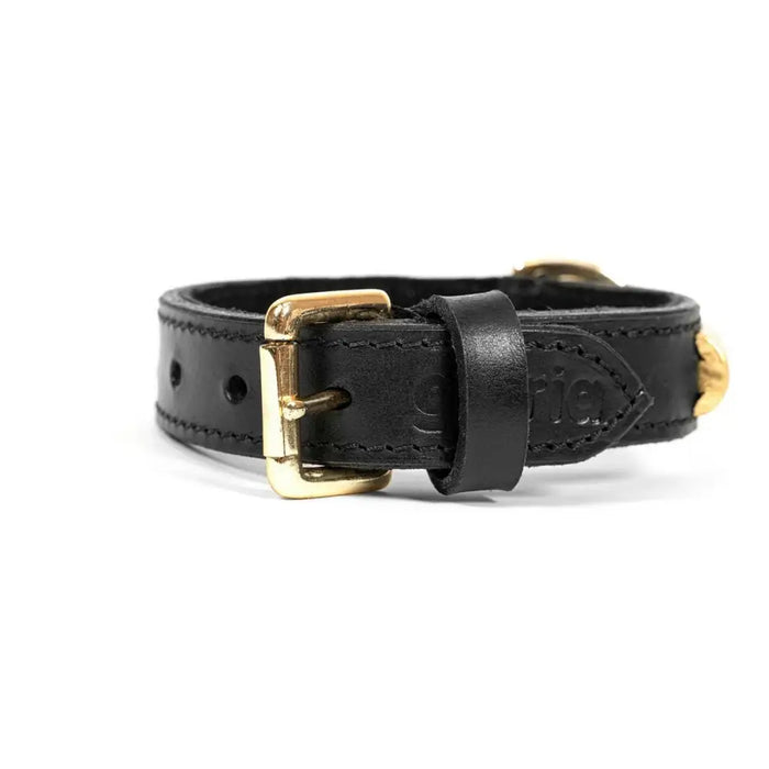 Dog collar Gloria Duna Black Golden (60 x 2.5 cm) - Домашни Животни<<<Дом Градина<<<BigBuy&&&Пътуване и
