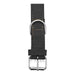 Dog collar Gloria Oasis Black (55 x 2,5 cm) - Домашни Животни<<<Дом Градина<<<BigBuy&&&Пътуване и разходки<<<Домашни