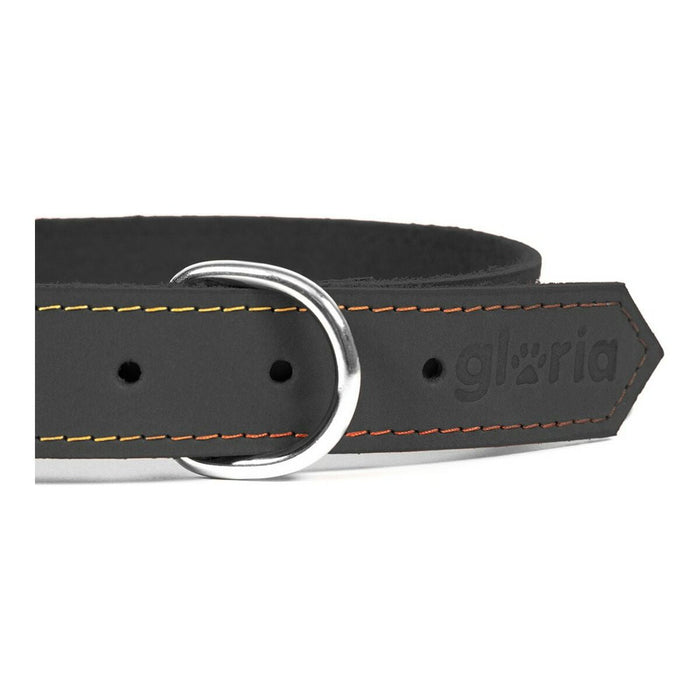 Dog collar Gloria Oasis Black (55 x 2,5 cm) - Домашни Животни<<<Дом Градина<<<BigBuy&&&Пътуване и разходки<<<Домашни