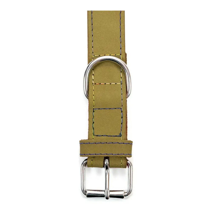 Dog collar Gloria Oasis Green (50 x 2,1 cm) - Домашни Животни<<<Дом Градина<<<BigBuy&&&Пътуване и разходки<<<Домашни