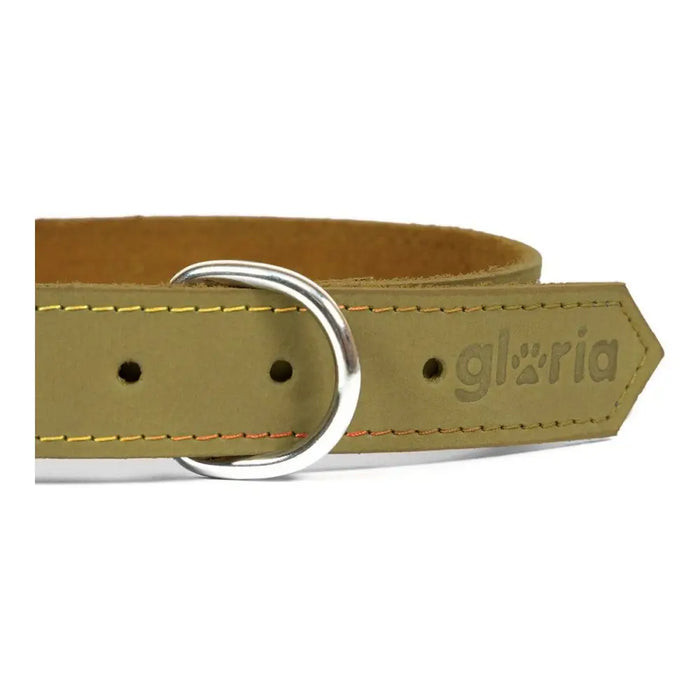 Dog collar Gloria Oasis Green (70 x 3 cm) - Домашни Животни<<<Дом Градина<<<BigBuy&&&Пътуване и разходки<<<Домашни