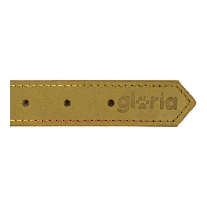 Dog collar Gloria Oasis Green (70 x 3 cm) - Домашни Животни<<<Дом Градина<<<BigBuy&&&Пътуване и разходки<<<Домашни