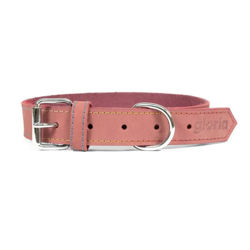 Dog collar Gloria Oasis Pink (1,5 x 40 cm) - Домашни Животни<<<Дом Градина<<<BigBuy&&&Пътуване и разходки<<<Домашни