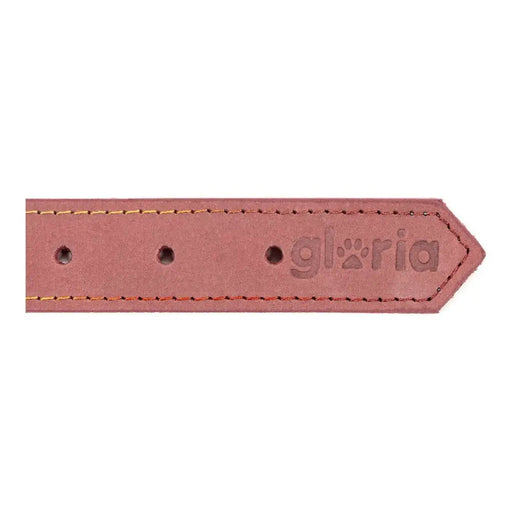 Dog collar Gloria Oasis Pink (1,5 x 40 cm) - Домашни Животни<<<Дом Градина<<<BigBuy&&&Пътуване и разходки<<<Домашни