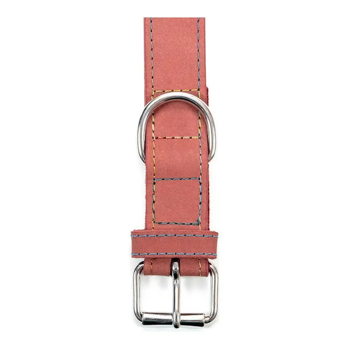 Dog collar Gloria Oasis Pink (70 x 3 cm) - Домашни Животни<<<Дом Градина<<<BigBuy&&&Пътуване и разходки<<<Домашни