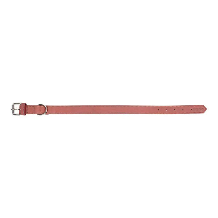 Dog collar Gloria Oasis Pink (70 x 3 cm) - Домашни Животни<<<Дом Градина<<<BigBuy&&&Пътуване и разходки<<<Домашни