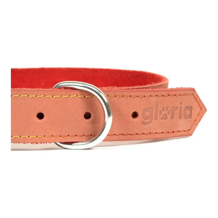 Dog collar Gloria Oasis Red (1,5 x 40 cm) - Домашни Животни<<<Дом Градина<<<BigBuy&&&Пътуване и разходки<<<Домашни
