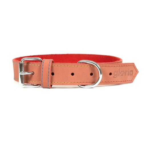 Dog collar Gloria Oasis Red (1,5 x 40 cm) - Домашни Животни<<<Дом Градина<<<BigBuy&&&Пътуване и разходки<<<Домашни